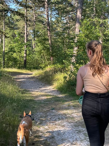 Hond vakantie in Zeeland