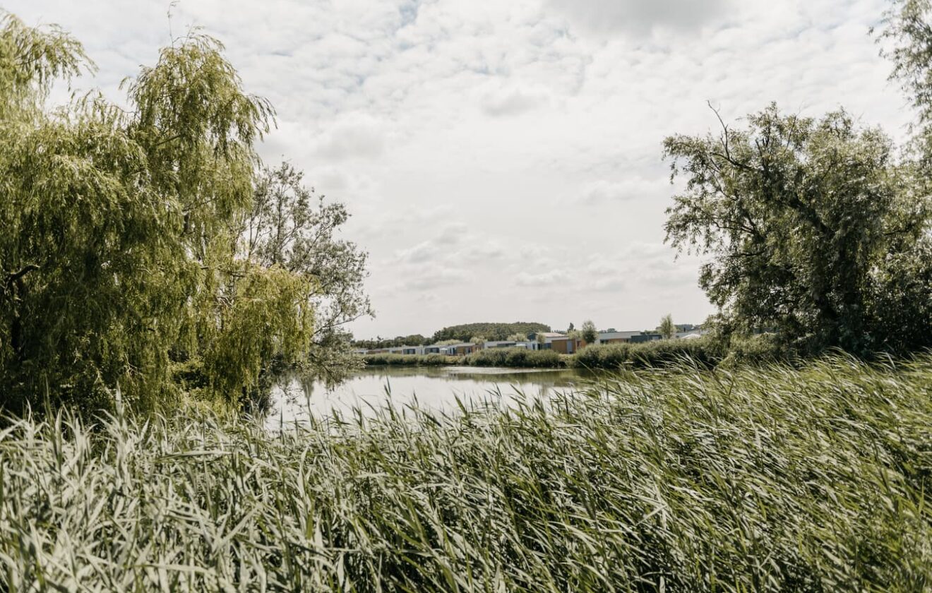 Vakantiepark Breskens Scheldeveste