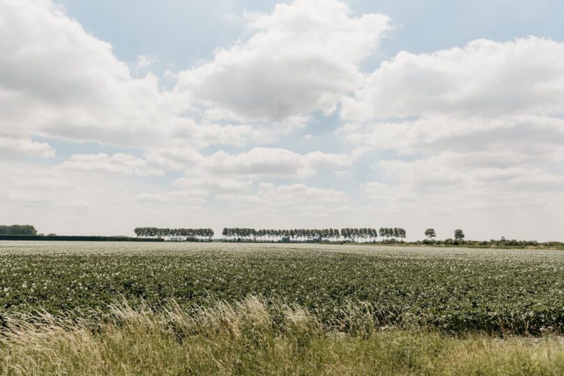 Vakantiepark Breskens Schoneveld