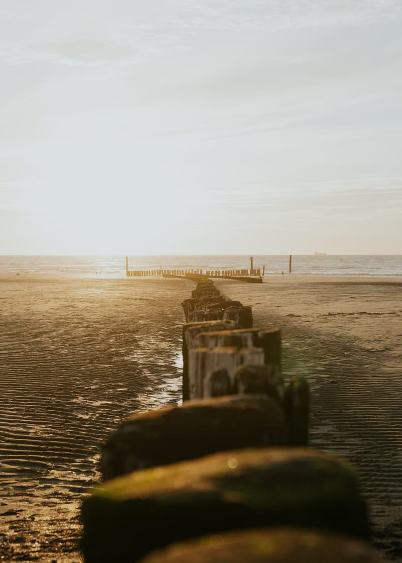 Paalhoofden strand cadzand