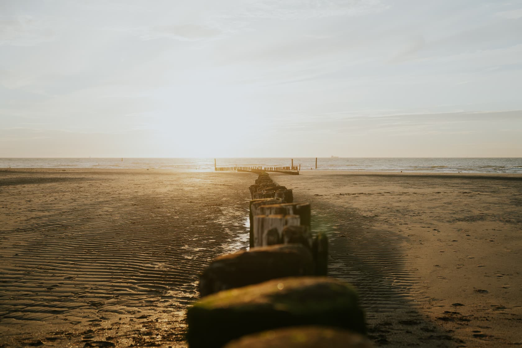 Paalhoofden strand cadzand