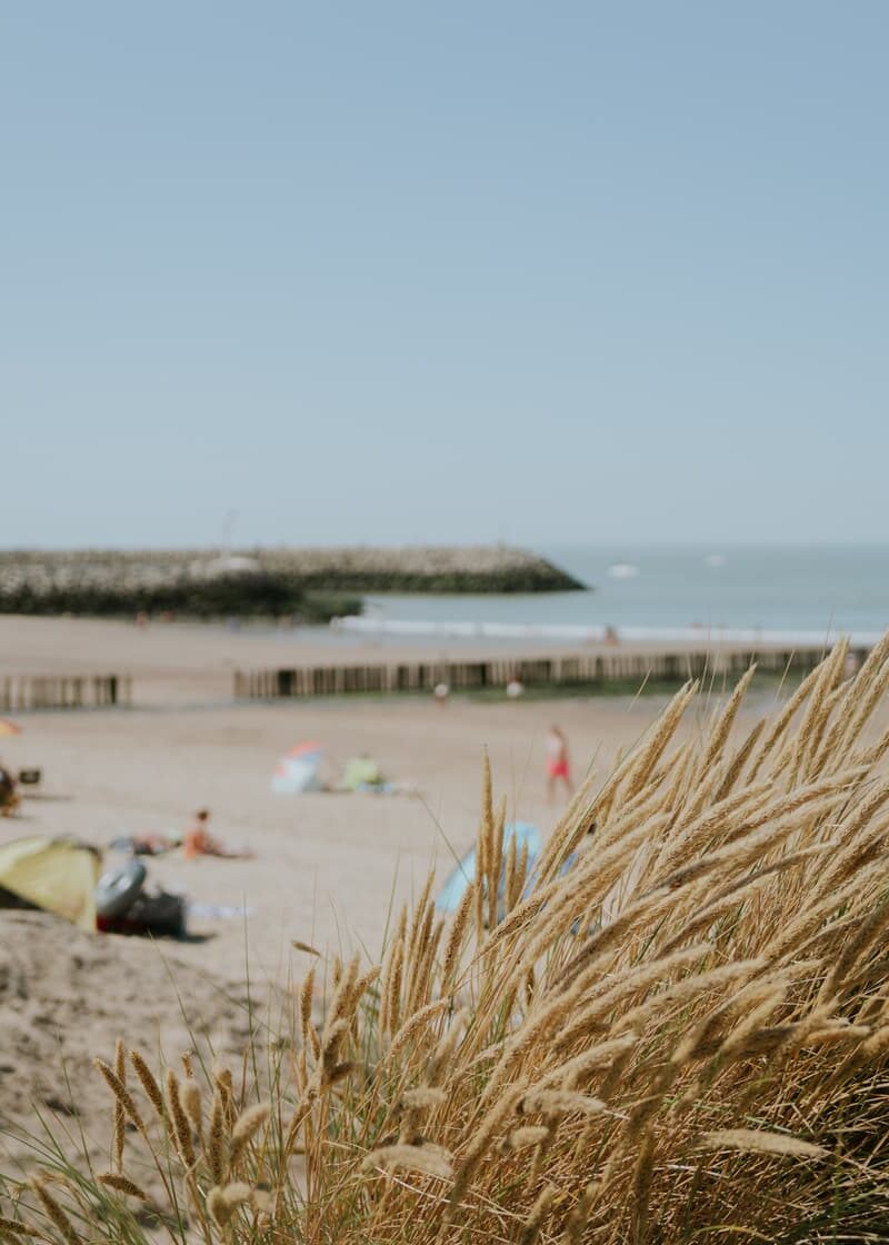 Strand Cadzand