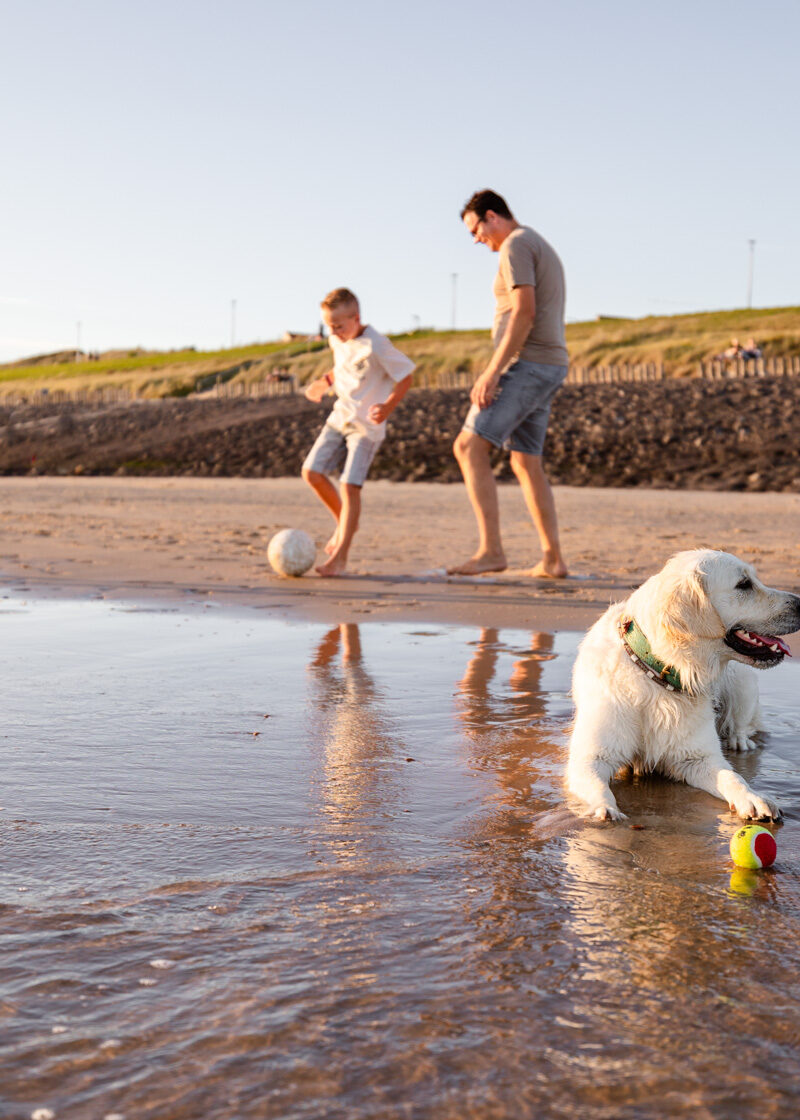 Hond strand vakantie in Zeeland