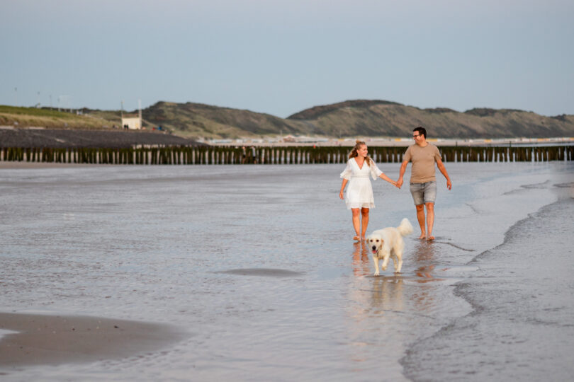 Hond strand vakantie in Zeeland