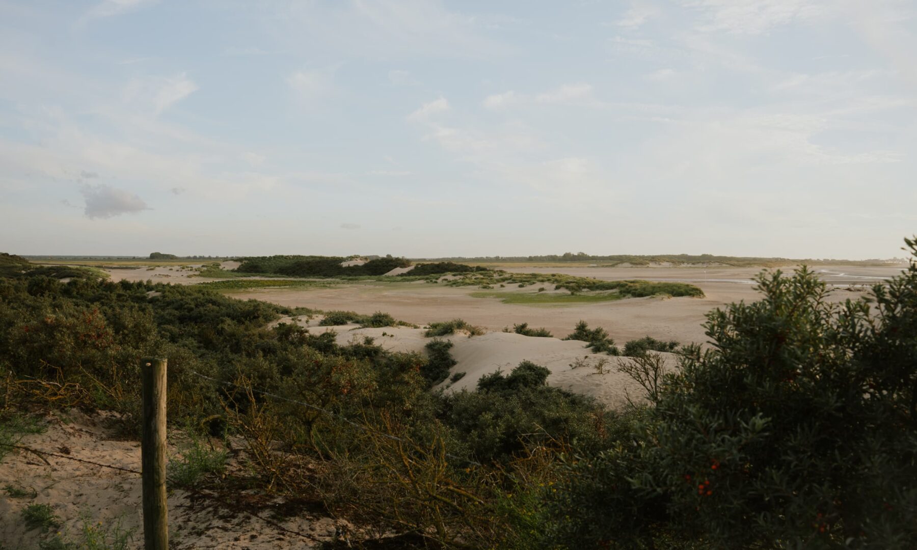 Het Zwin Cadzand