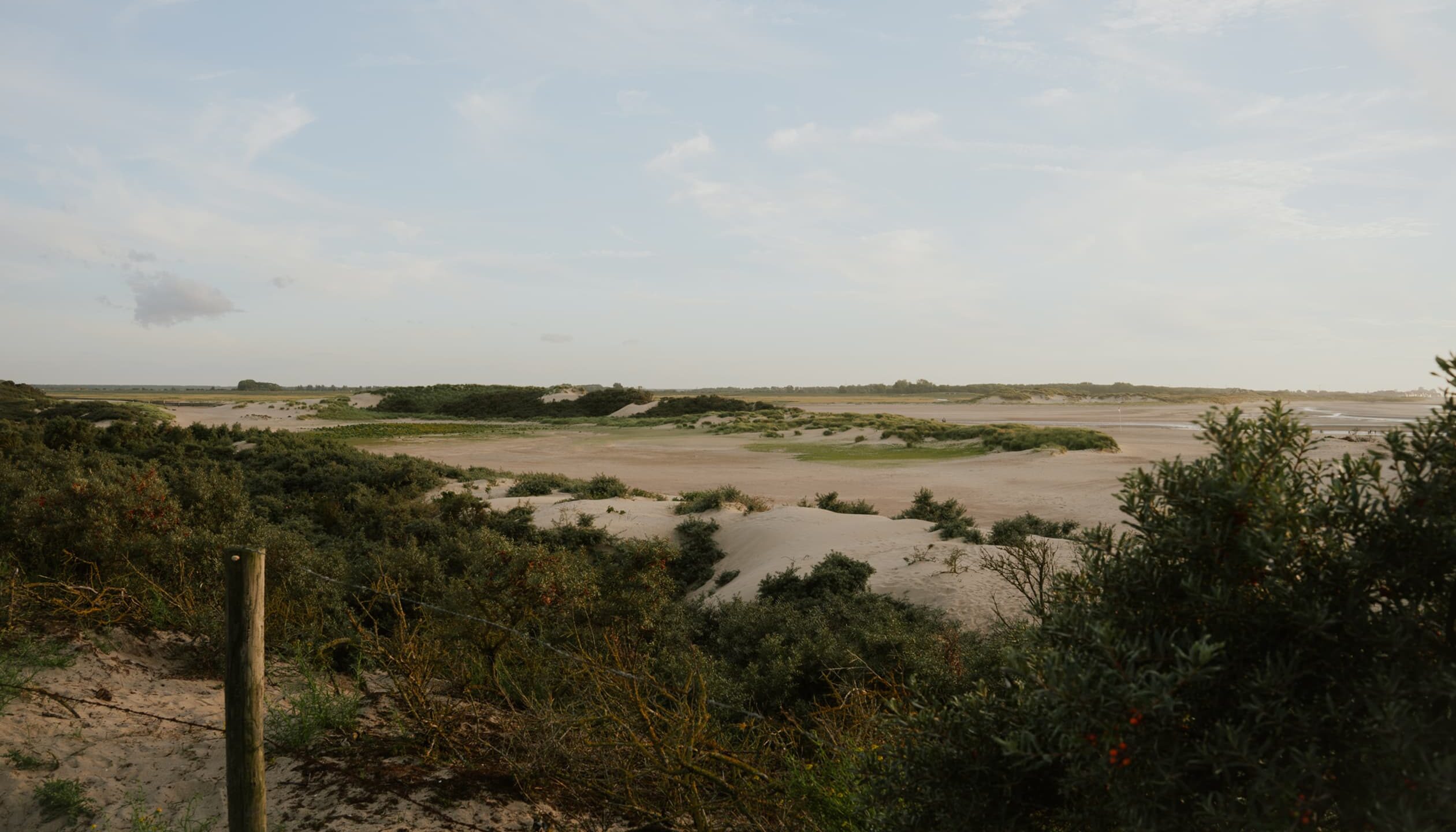 Natuurgebied Het Zwin