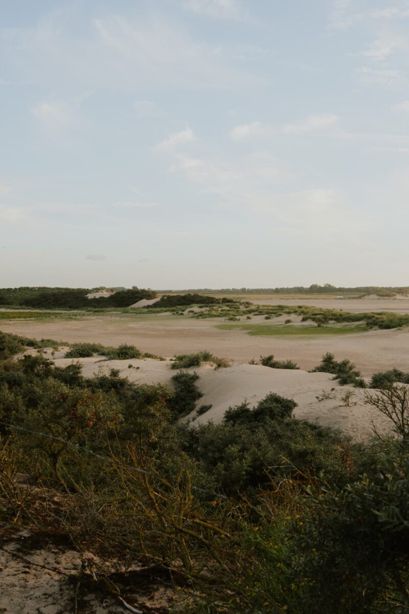 Het Zwin Cadzand