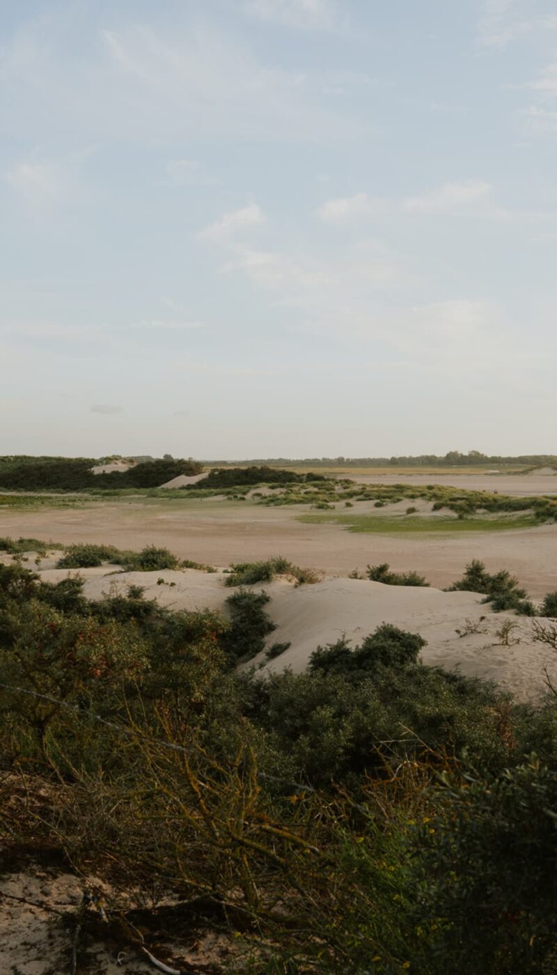 Natuurgebied Het Zwin