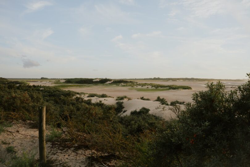 Het Zwin Cadzand