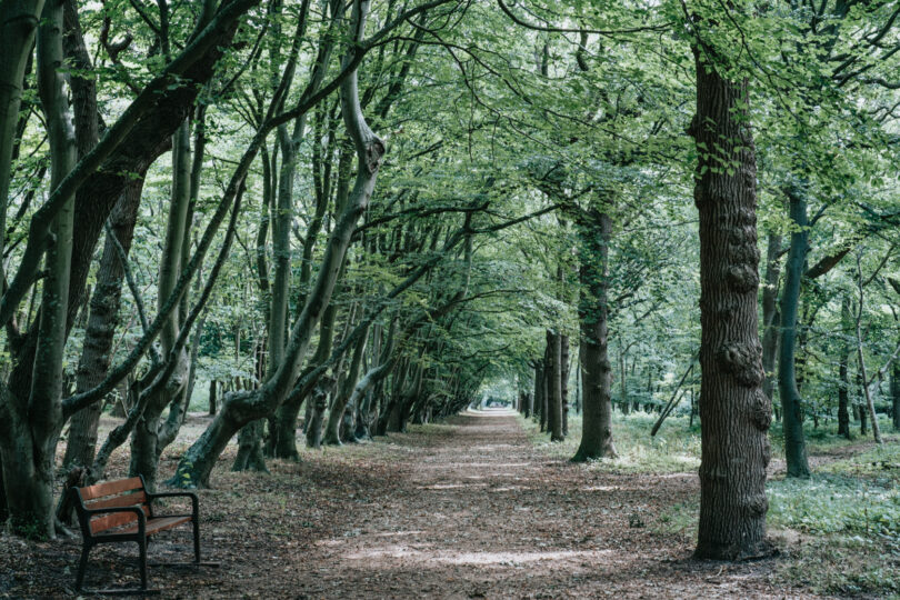 Natuurgebied de Manteling Oostkapelle