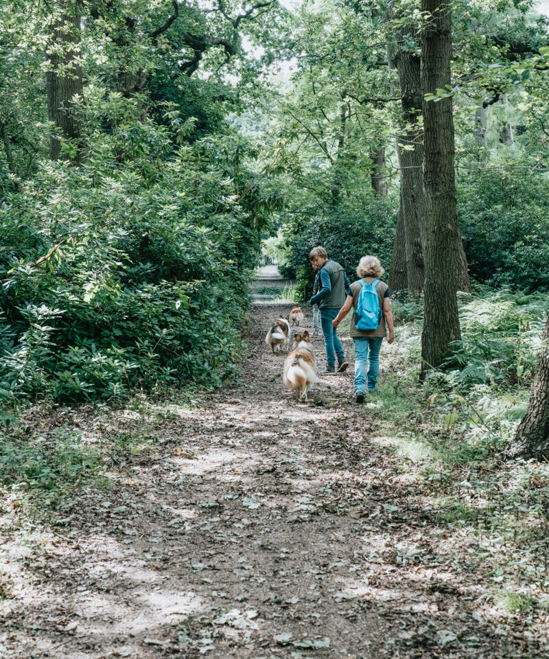 Wandelen De Manteling Oostkapelle