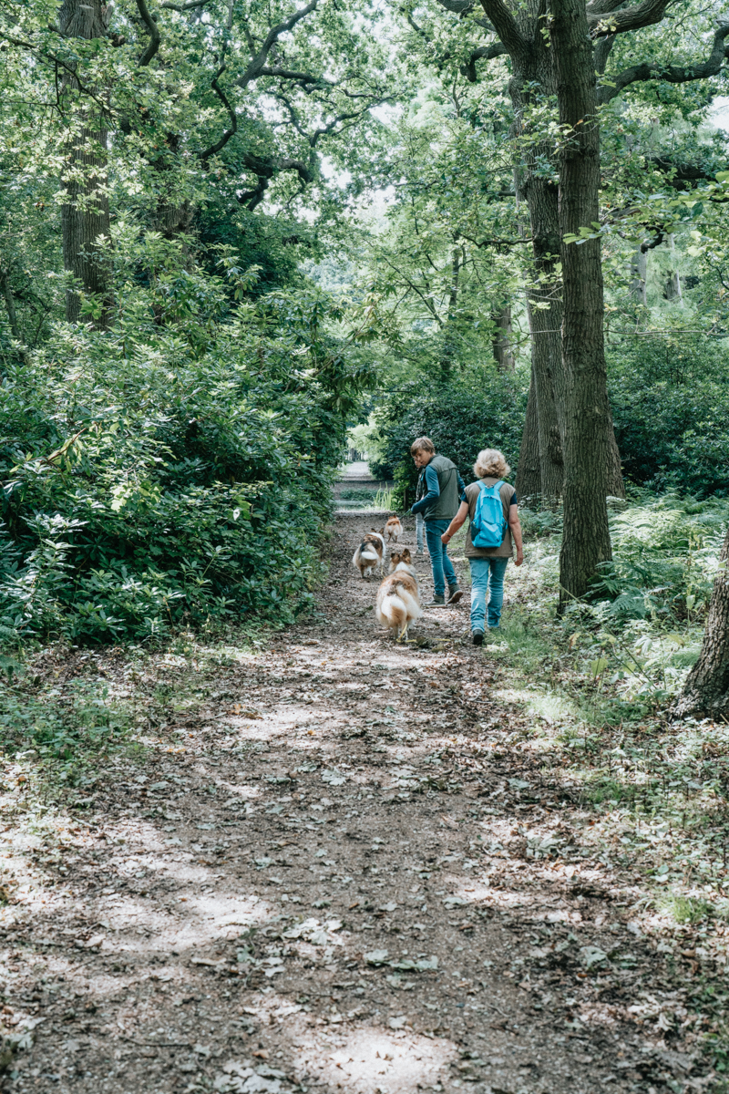 Wandelen De Manteling Oostkapelle