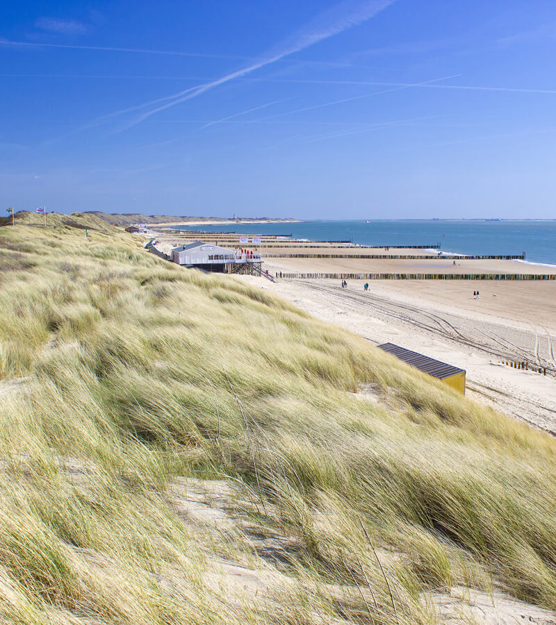 Strand Zoutelande