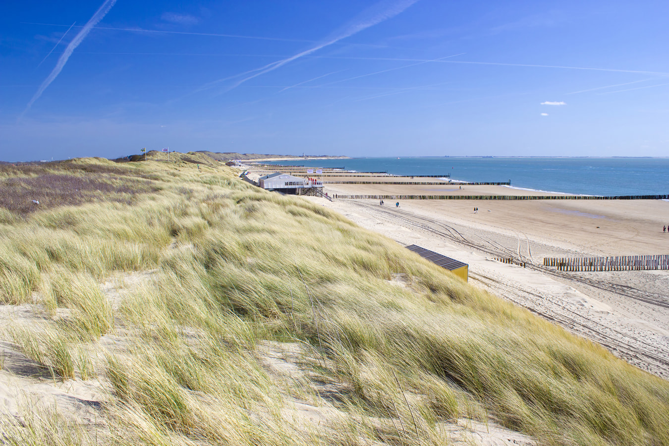 Strand Zoutelande