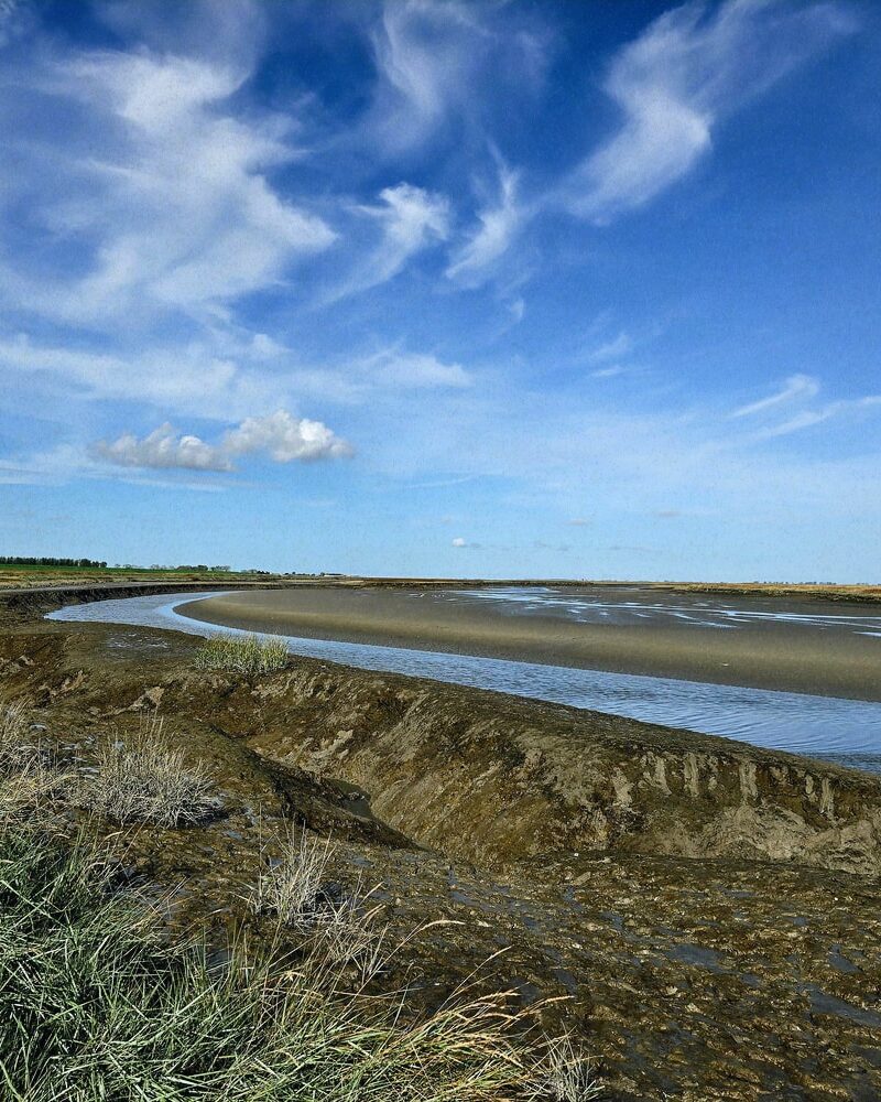 Land van Saeftinghe omgeving landschap