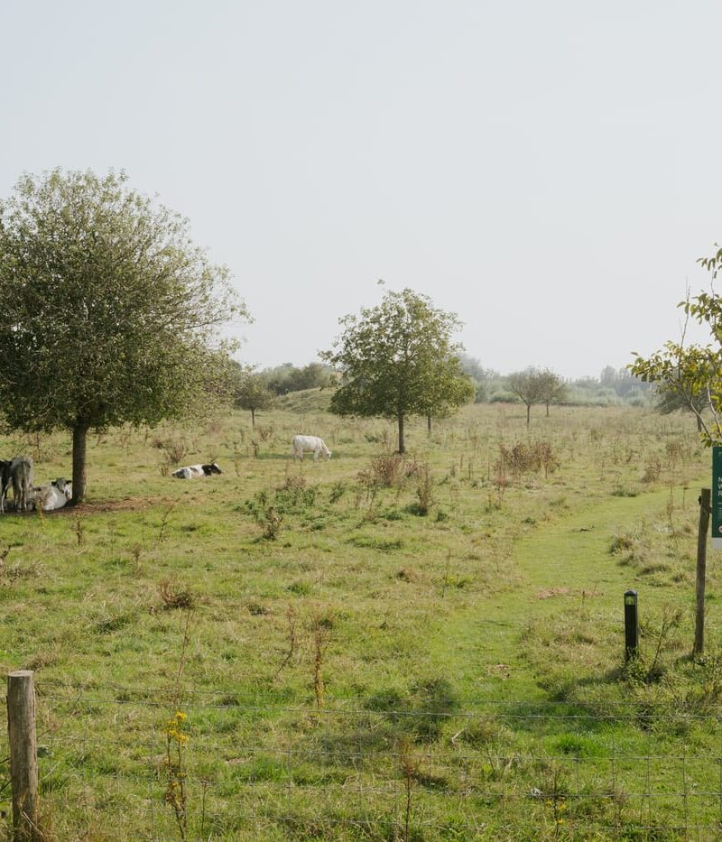 Wallen van Retranchement