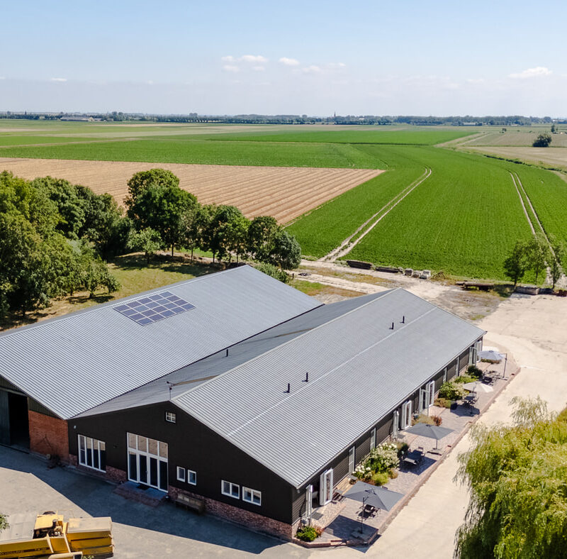 Westdijk 5 – Drohnenfoto vom Polder
