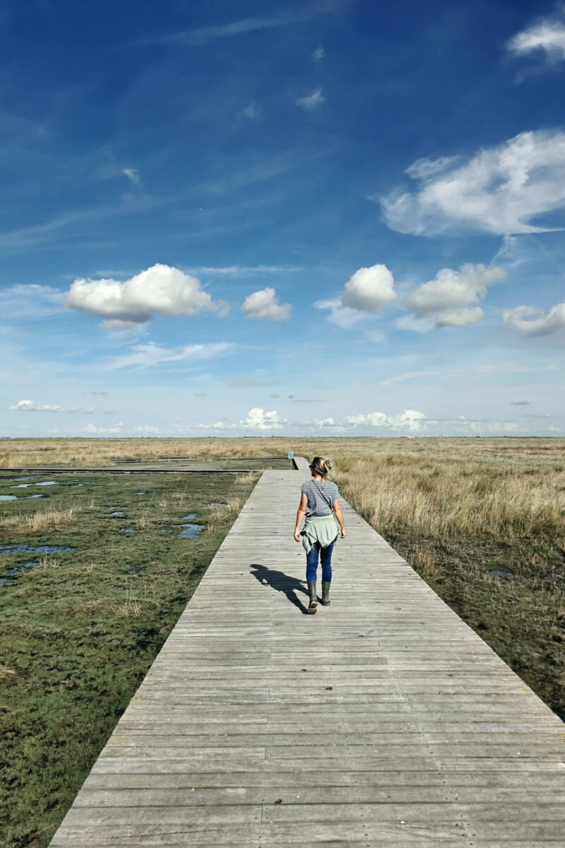 Het Land van Saeftinghe persoon