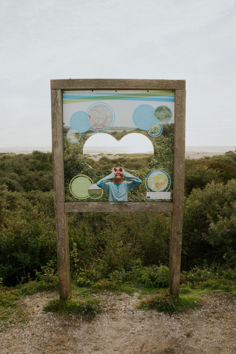 Natuurgebied het Zwin