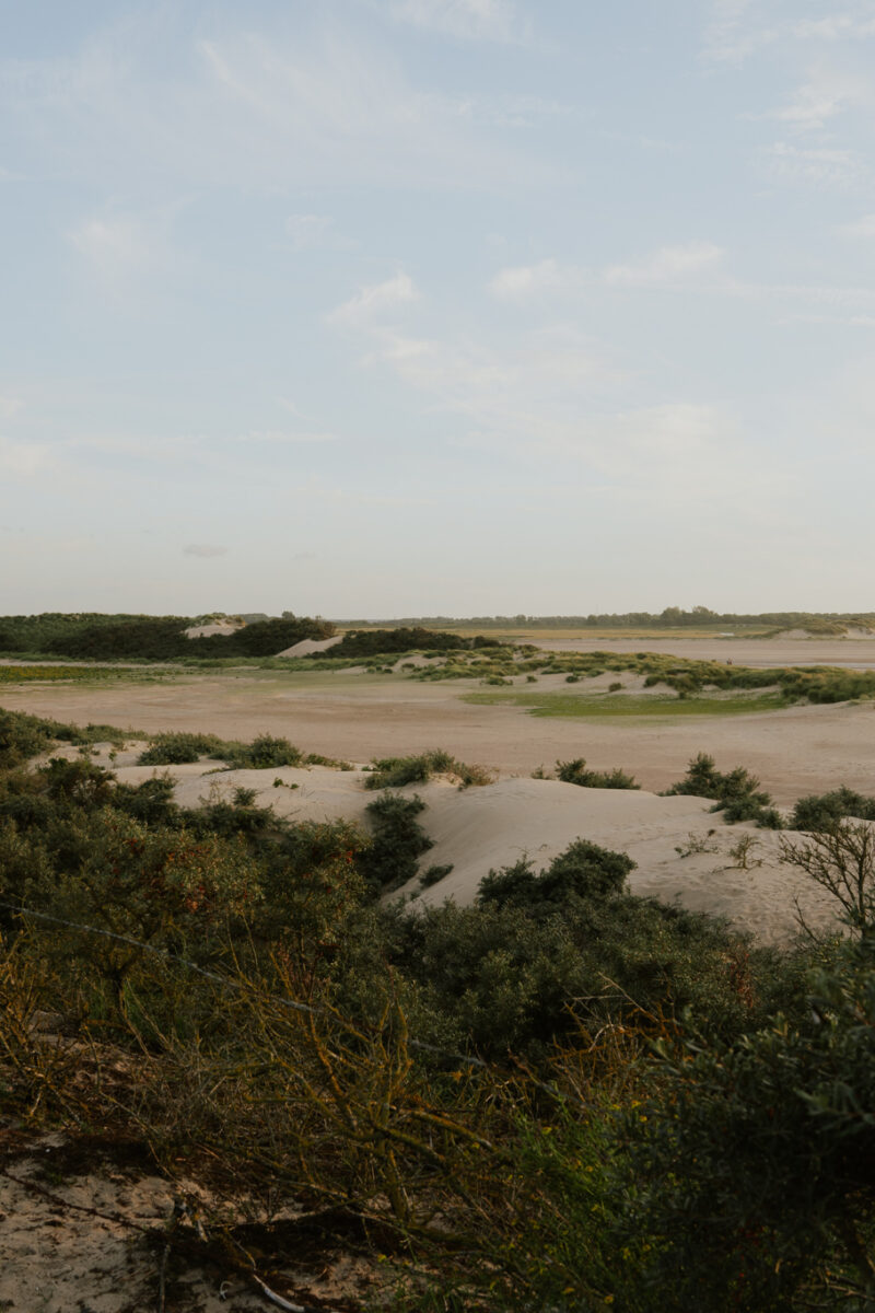 Natuurgebied het Zwin