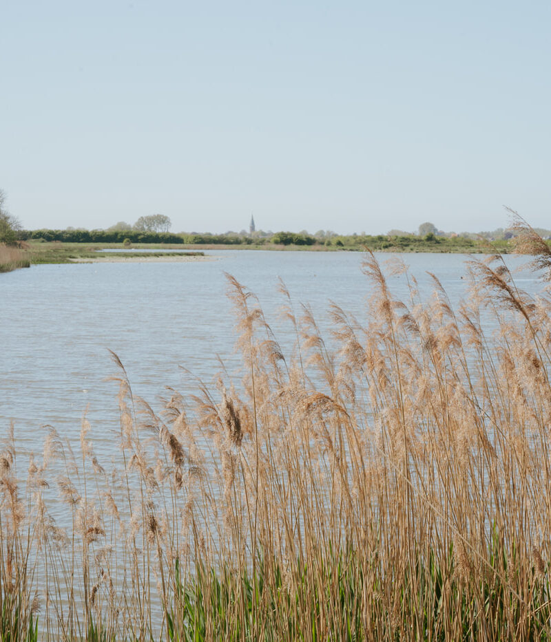 Groede omgeving