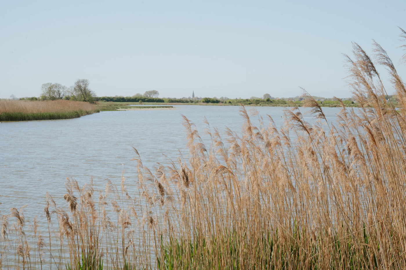 Groede omgeving