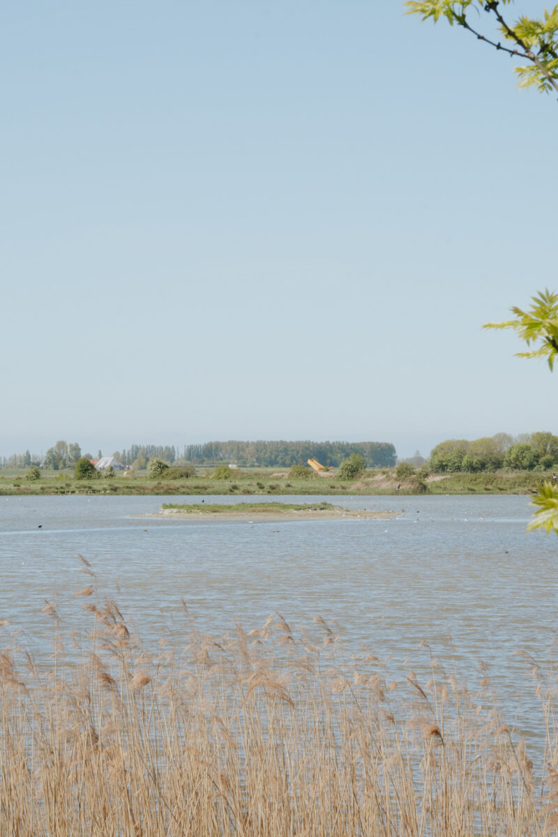Omgeving Groede