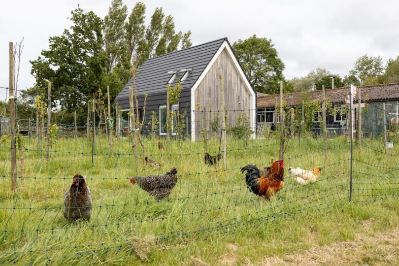 Tuin Kalfhoeksepad 8 Aagtekerke