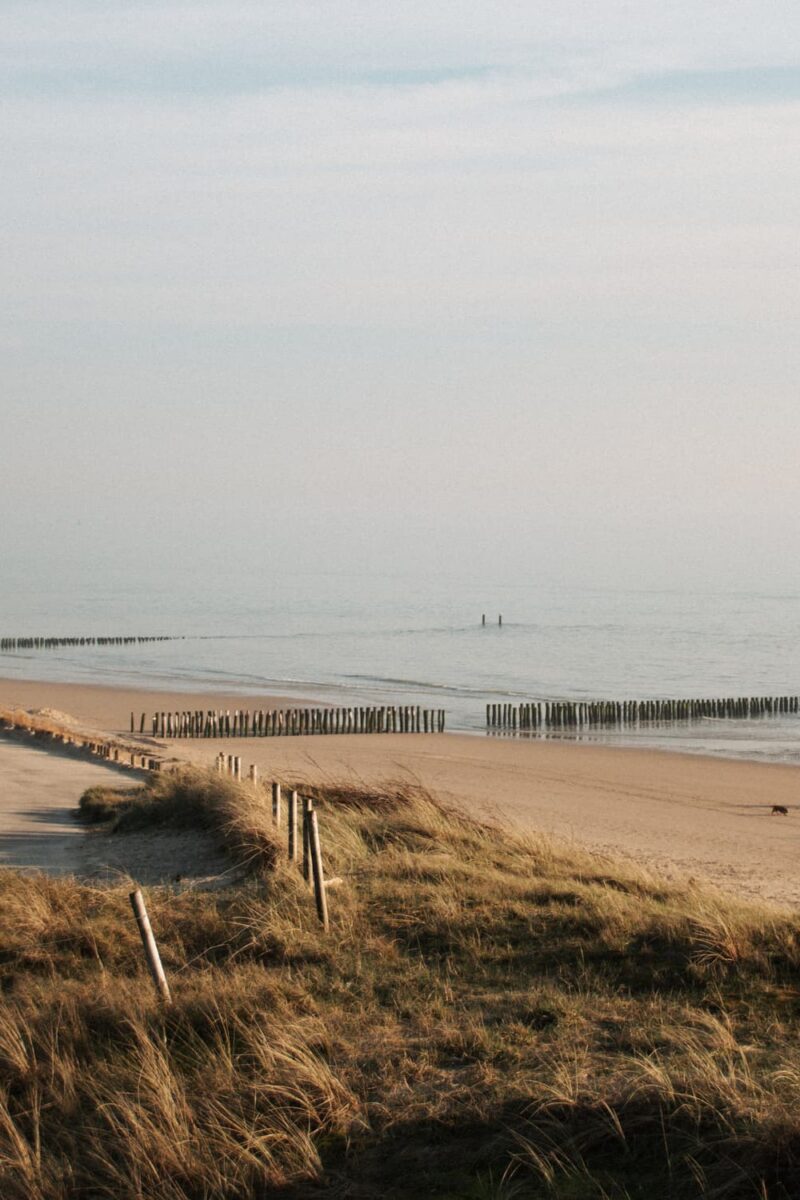 Zoutelande strand voorjaar